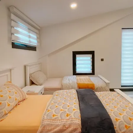 ヴィラ Ovacik Luxury - 7171 フェティエ